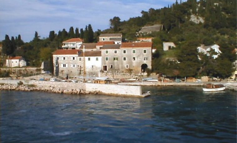 osljak_1218968700.jpg