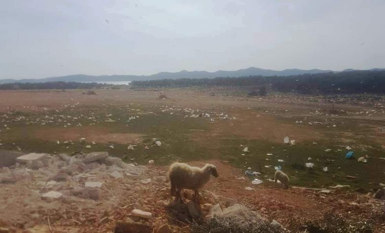 Foto: čitatelj