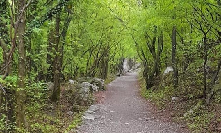 Foto: NP Paklenica