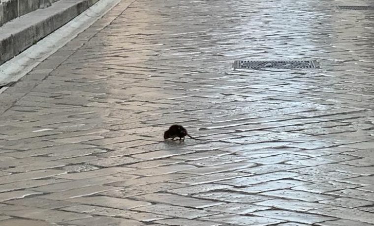 Foto: čitatelj