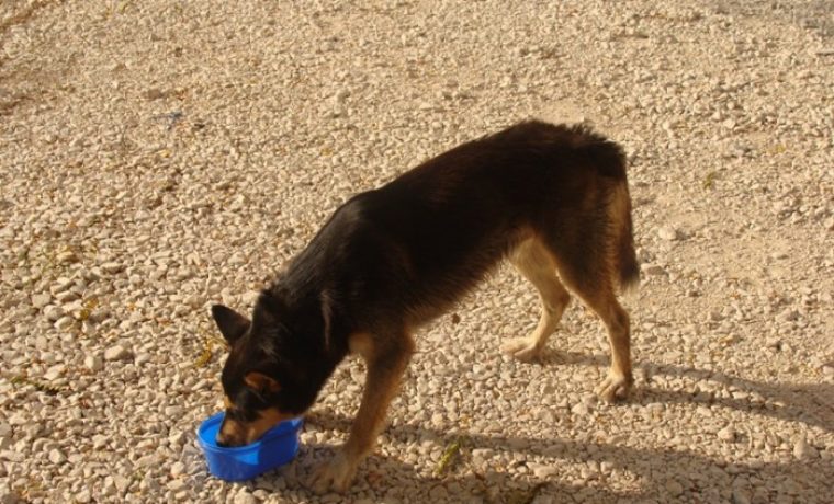 pas_1347344415.JPG