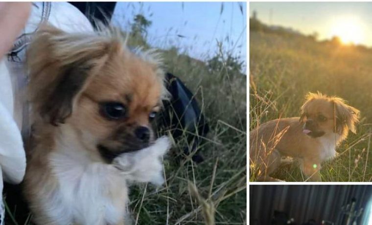 Foto: čitatelj