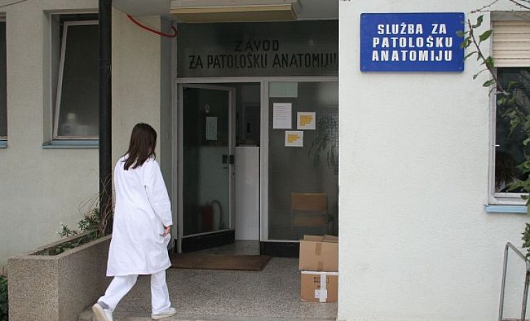 Foto: Zadarski list