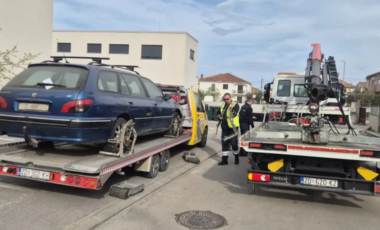 pauk, vuča
