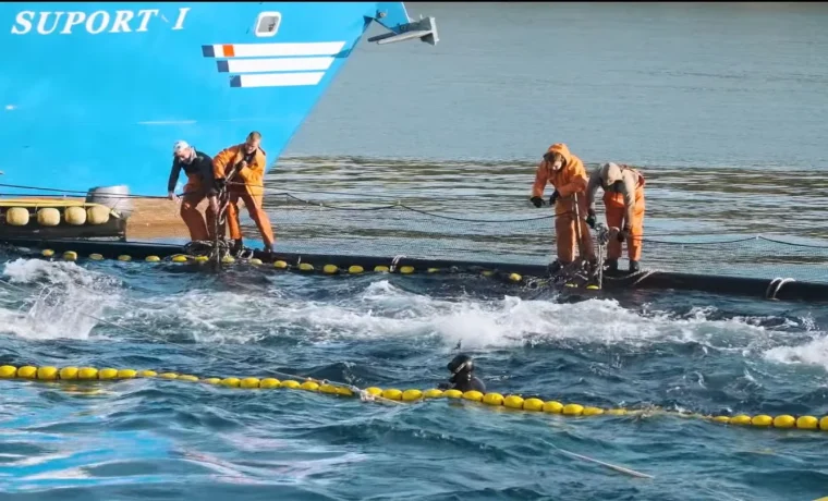 Foto: Pelagos Net Farma