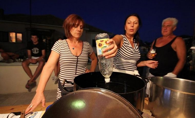 petr_ane__ko_uta_1344838612.JPG