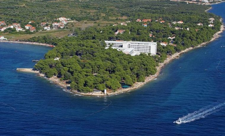 pinija_1335517726.jpg