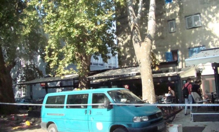 platane__1473845651.JPG Foto: 057info