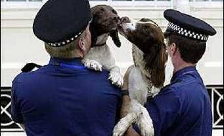 police_1200068445.jpg