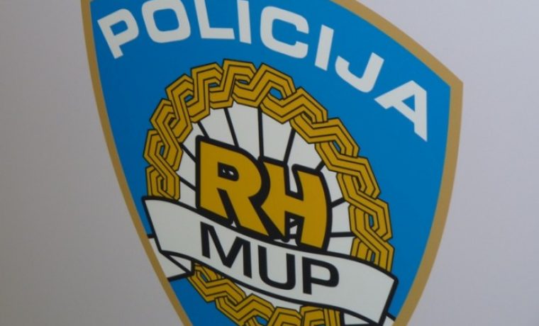 policija_1290517221.JPG