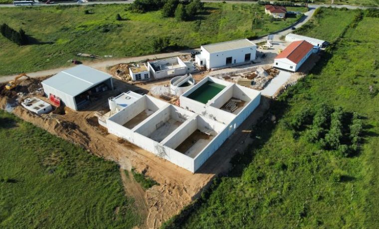 pročistač, nin