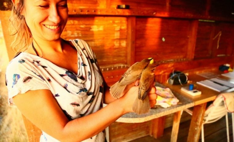 Foto: PP Vransko jezero