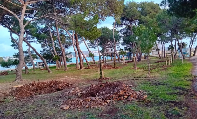 punta 3