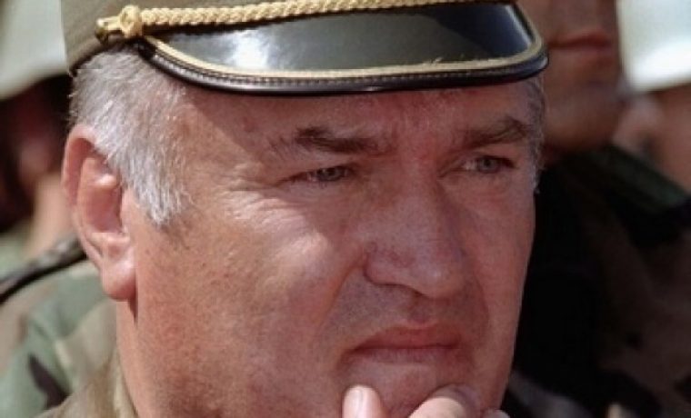 ratko_1288266758.jpg ratko_1288266758.jpg