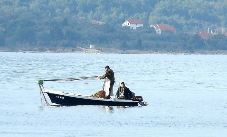 Foto: Ivana Zrilić