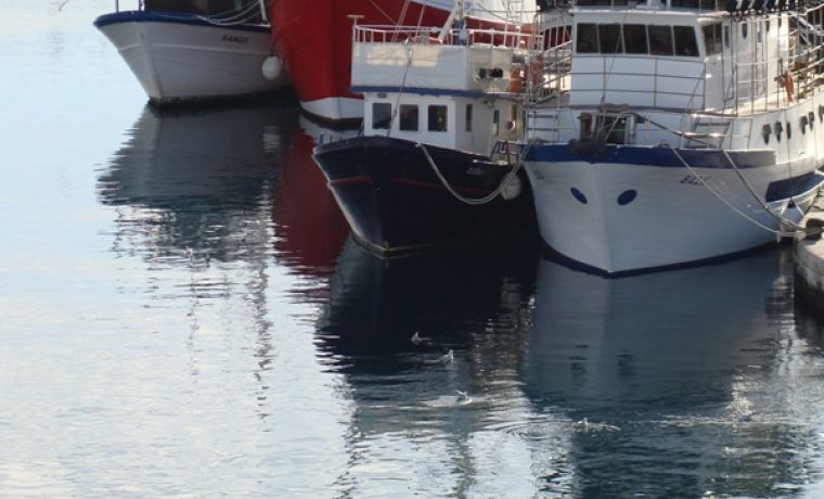 ribarice__luka_1325073871.JPG ribarice__luka_1325073871.JPG