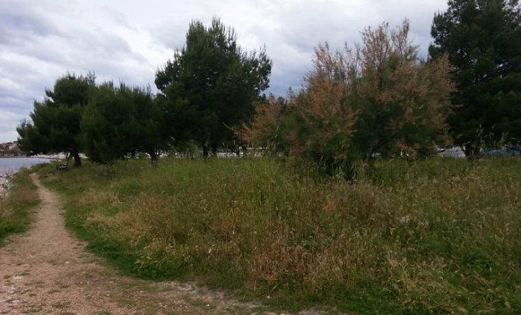 Foto: 057info (snimio čitatelj)
