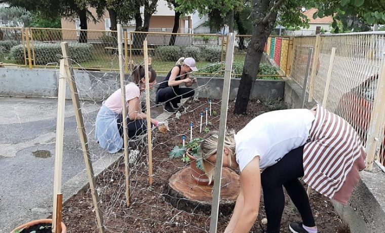 sadnja_1590301206.jpg Foto: BnM
