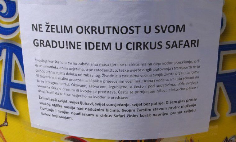 safari_cirkus_3_1467716244.jpg Foto: 057 info