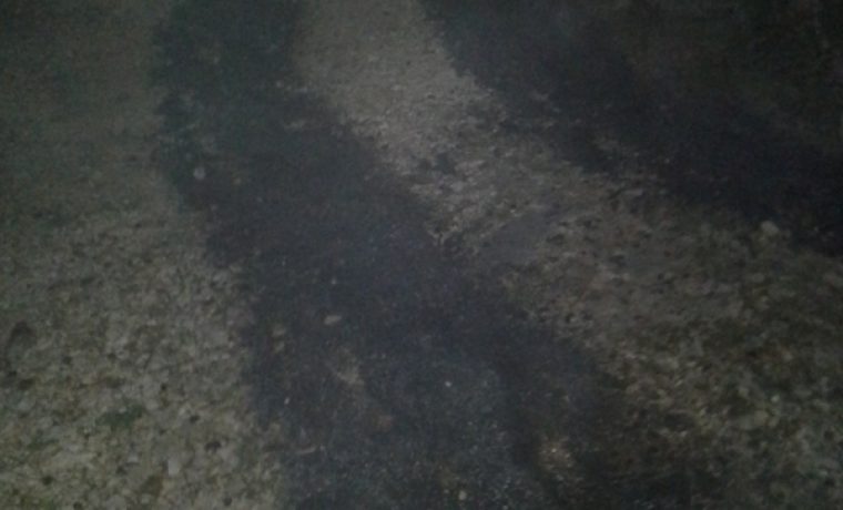 sali_1393661158.jpg