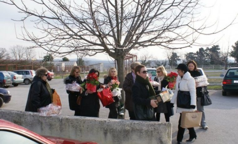 sdp__zemunik_1292697412.jpg sdp__zemunik_1292697412.jpg