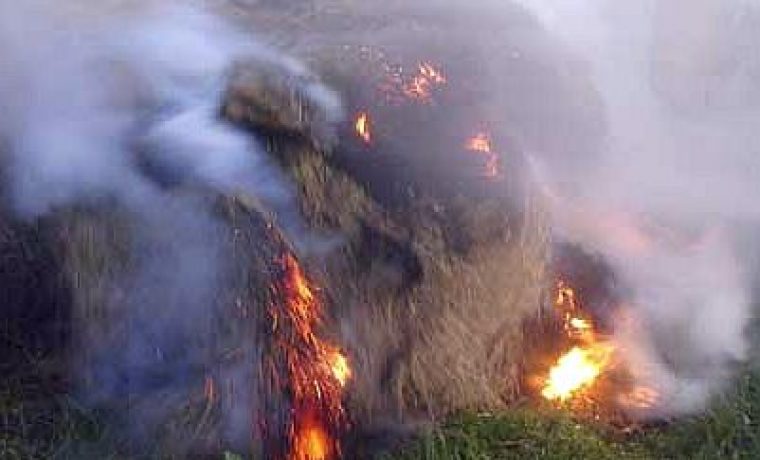 Foto: Arhiva 057info