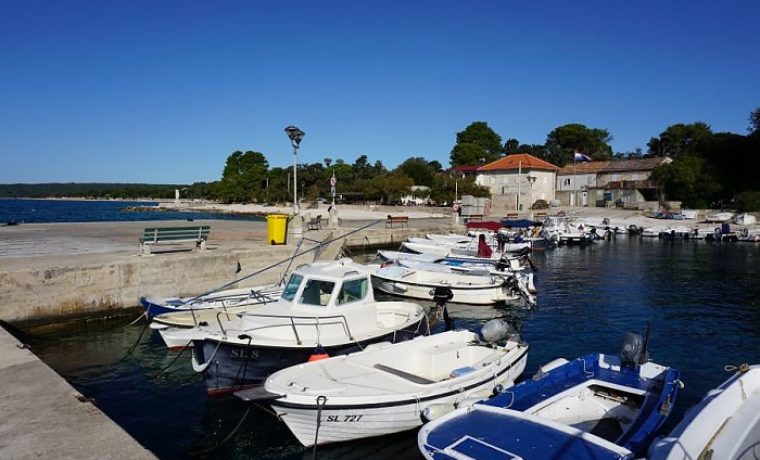 Foto: ŽLU Zadar