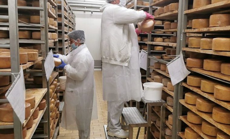 sirevi_1647848050.jpg Foto: Zadarska županija