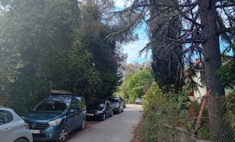 škarpona