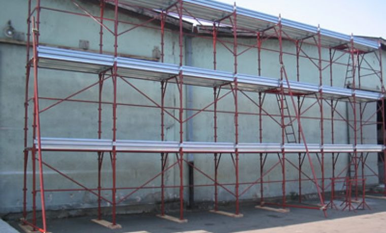 skela_1213686267.jpg skela_1213686267.jpg