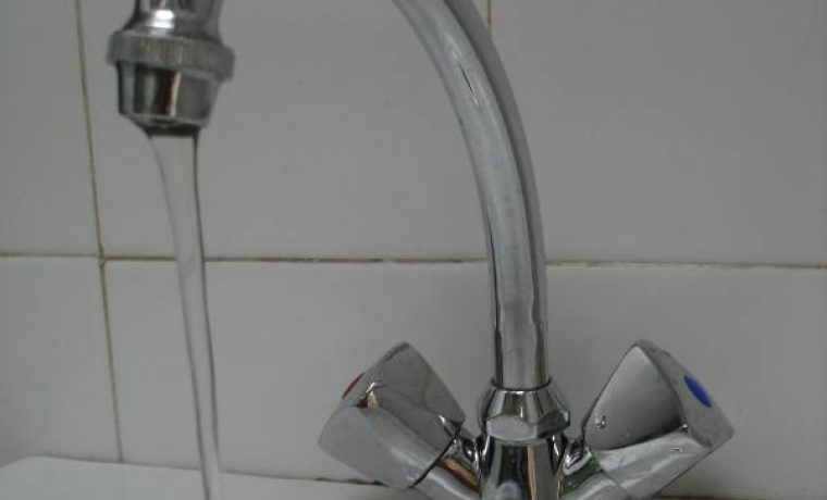 slika_spina_1204276466.jpg Foto: Arhiva