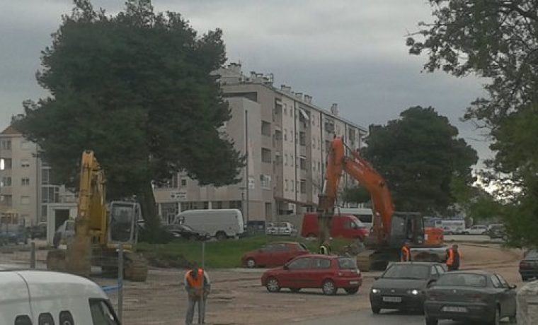 smiljevac_1364978027.jpg
