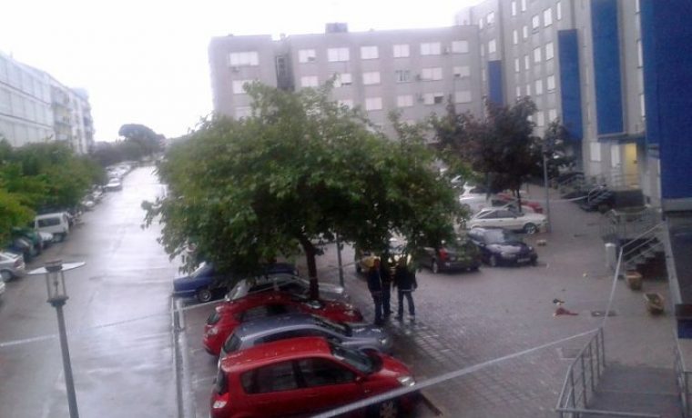 smiljevac_1370159344.jpg Foto: Zadarski list