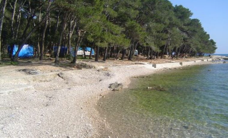soline_1288341458.jpg