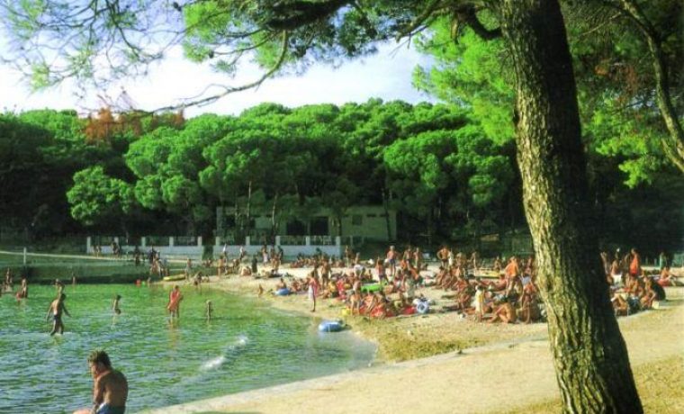 soline_1690351598.jpg Foto: Grad Biograd/Ilustracija
