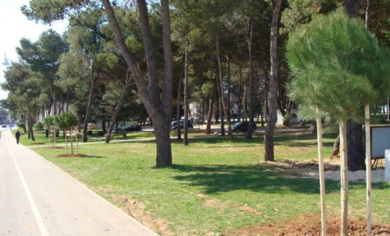 stabla_3_1237385931.jpg Foto: www.057info.hr