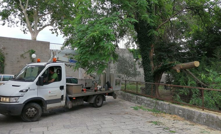 Foto: 057info (L. P.)
