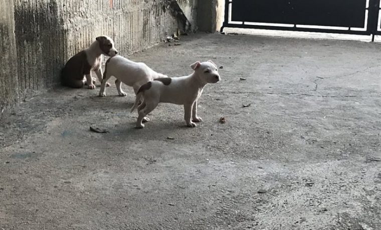 Foto: Njuškalo