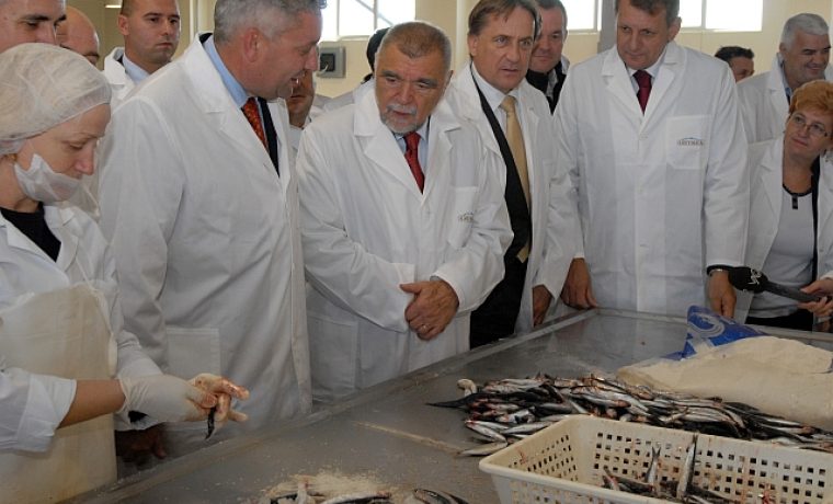 stankovci_mesic_05_1257145210.JPG stankovci_mesic_05_1257145210.JPG
