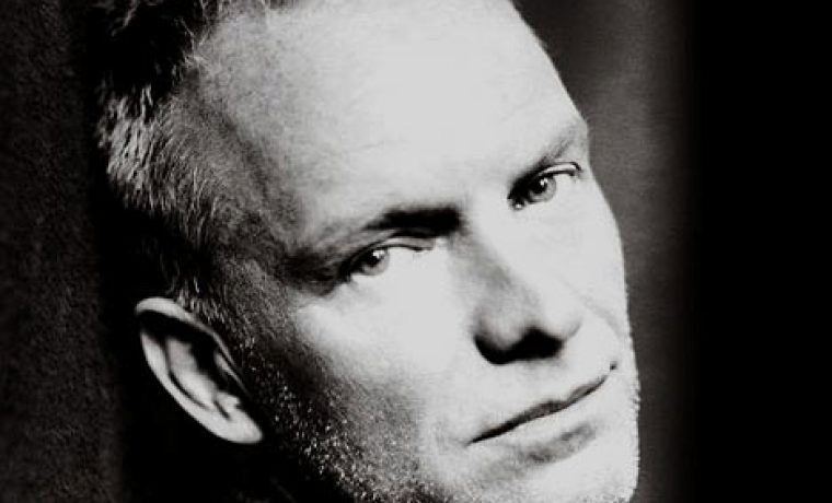 sting_1229088457.jpg