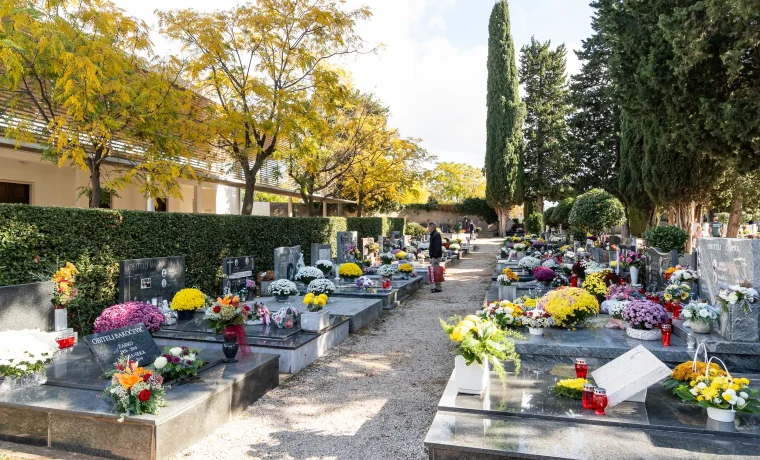 svi sveti gradsko groblje (36) svi sveti gradsko groblje (36)