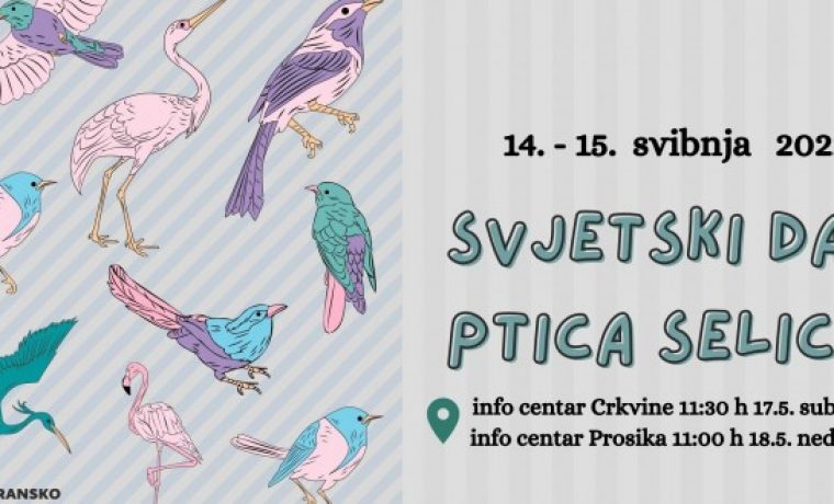 svje_dan__ptica__selica_660x330_1652185039.jpg Foto: 057info