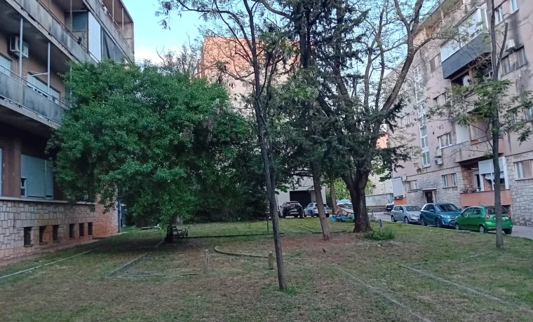 dvorište, zelenilo