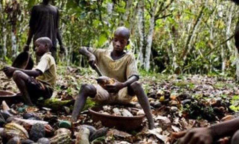 tamna_strana_cokolade_1434047539.jpg Foto: PR foto