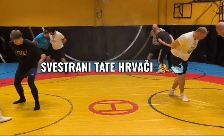 tata, hrvači tata, hrvači