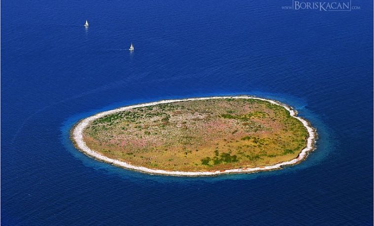 tici_pakostane_1524554290.jpg Foto: Boris Kačan