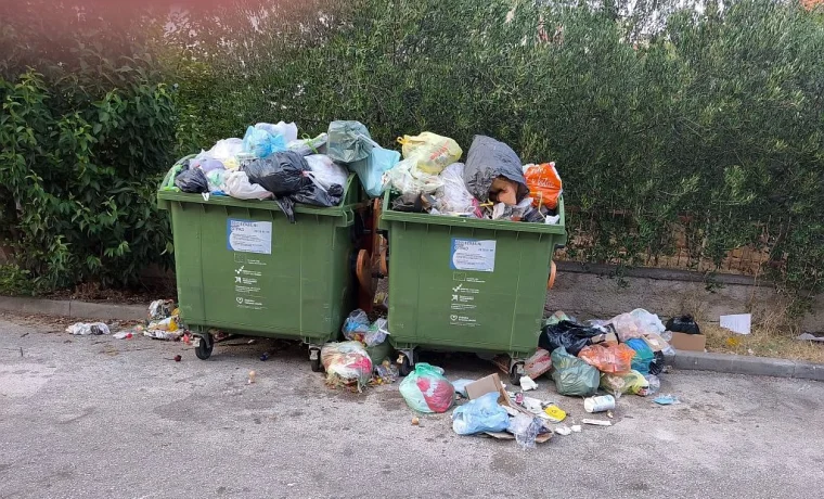Foto: Čitatelj