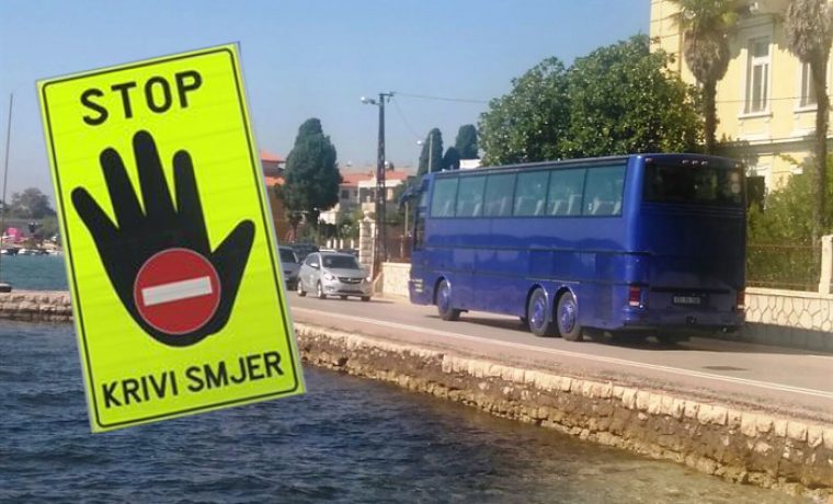 trpimirova__autobus__1501837972_1501839612.jpg