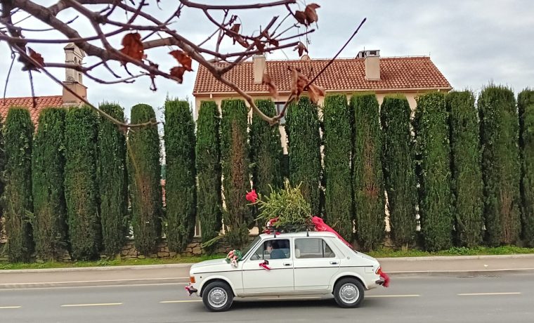 tu_manova_1703680594.jpg Foto: 057info