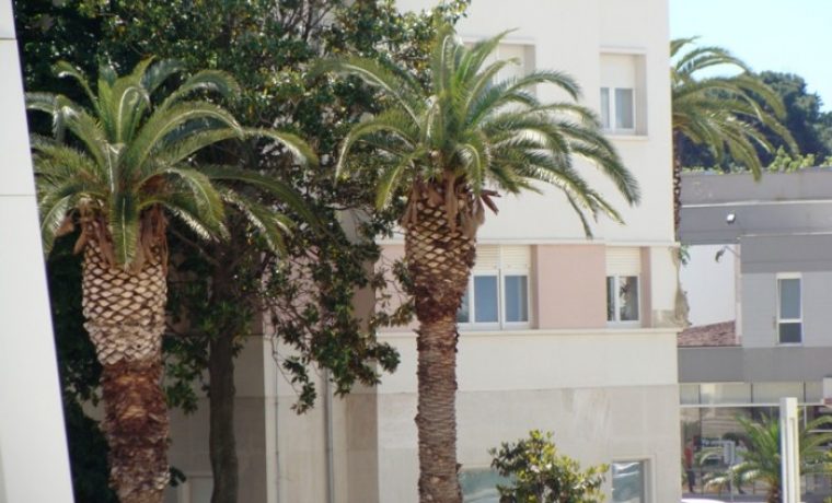 turisthotel_1369035704.JPG turisthotel_1369035704.JPG